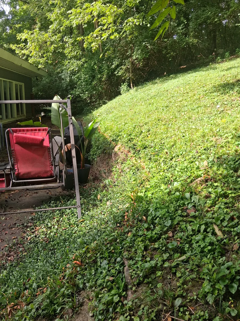 Steep grass bank behind the house in Cincinnati, OH, falling right down to the patio chairs by the back door