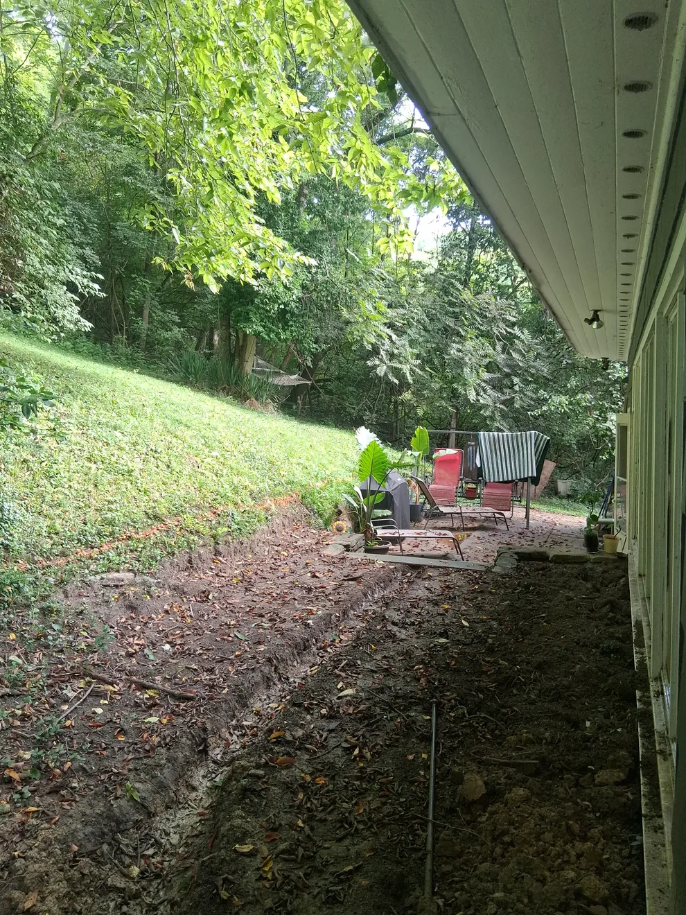 Grass slope running down to a strip of bare dirt along the back of the house in Cincinnati, OH