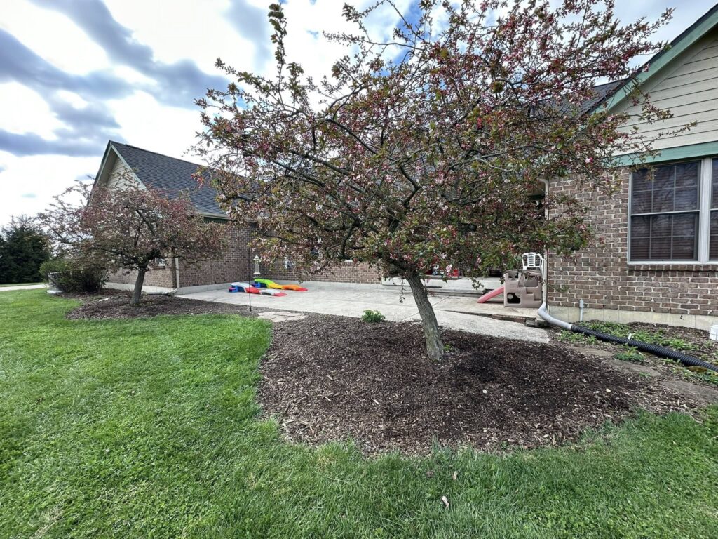 Before yard drainage and grading work showing exposed downspout drainage, uneven landscape beds, and lawn areas before correction.